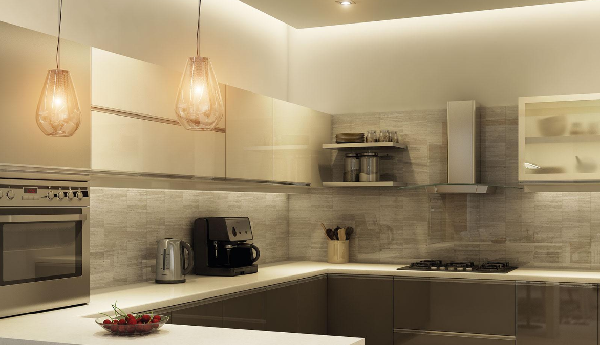 Treasure Park Project